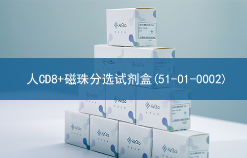 人CD8+磁珠分选试剂盒(51-01-0002 )